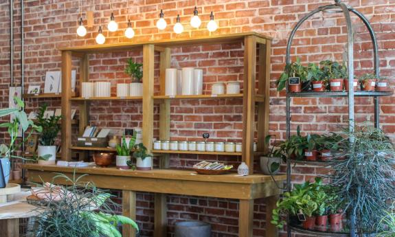 Plants and other home decor merchandise available at Feather + Bloom
