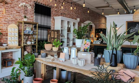 Some of the many pots and plants for sale at Feather + Bloom