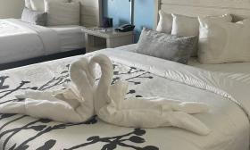 Two towels, folded to represent swans on a bed at Ocean Sands Inn
