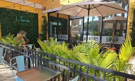 The exterior of Paladar Cuban Eatery includes outdoor seating among palms and a water feature