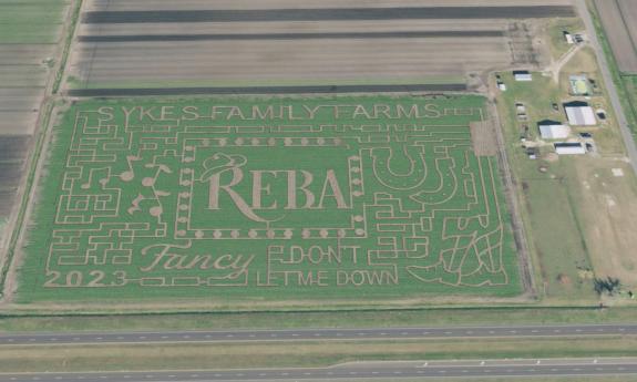 An overhead view of the design of Sykes Farm's corn maze, with Reba McIntyre as a theme