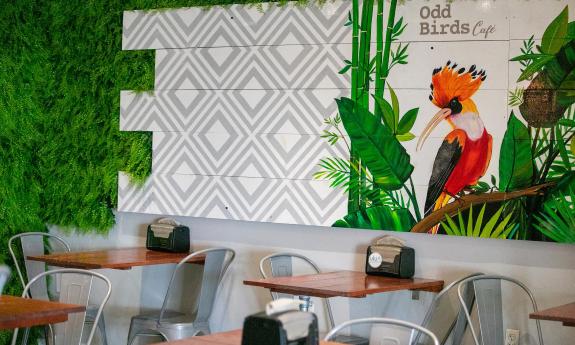 The vibrant seating area inside Odd Birds Café