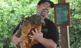 A naturalist with a local tortoise at the Wild Wonders Animal Show