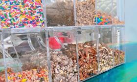 The various types of toppings served at Twisted Turtle Creamery