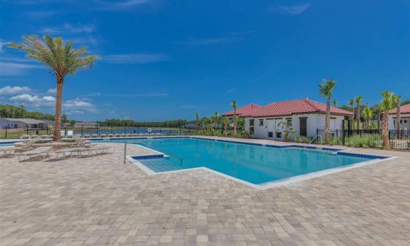 Outdoor swimming pool at San Salito surrounded by palm trees and lounge chairs with a clear blue sky overhead