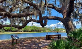 Park scene with a grand oak tree draping over a bench swing by a lake