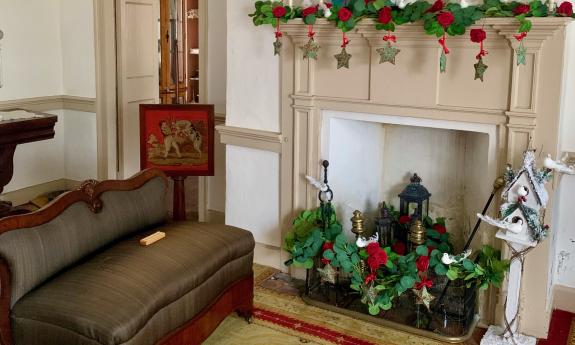 A sitting room with red and green highlights and plants