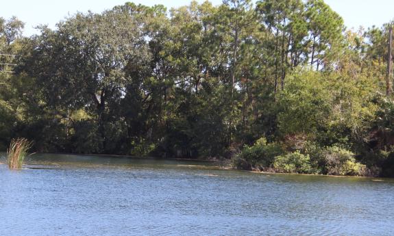 A view of the pond from Hideaway Trail