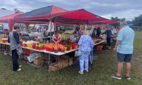 People standing at a produce stand with colorful carrots and peppers under a red and blue awning