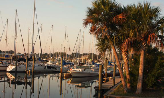 Various boats docked at the marina