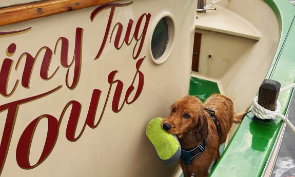 The boat, Lady Augustine, gets a cleaning from Captain Steve's dog