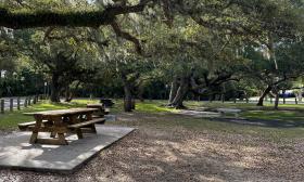 The large oak trees provide shade for the picnic tables in the park