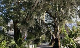 One of the streets with Spanish moss hanging from the oak trees
