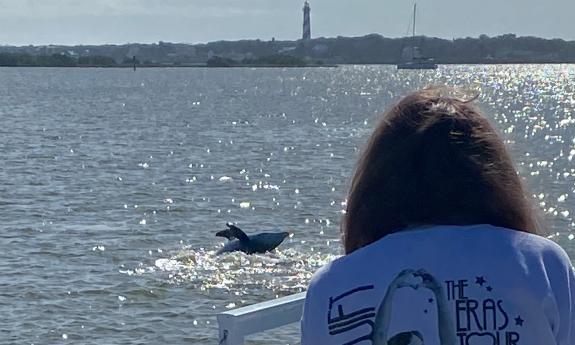 A passenger gazes at a dolpin that rose out of the water in view of the St. Augustine Light House