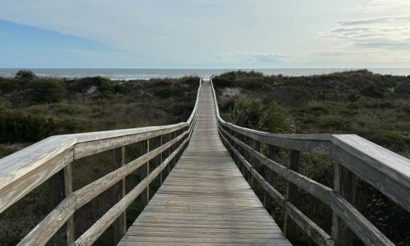 The boardwalk at Frank B. Butler County Park