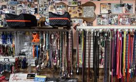Colorful leashes and other pet supplies hang along the wall inside the store
