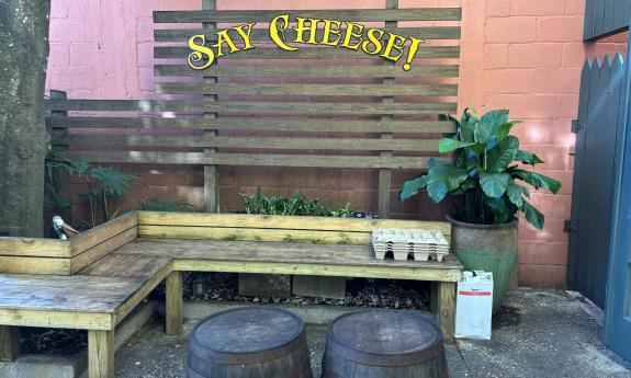 The benches set up in the courtyard