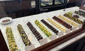 Traditional and unique chocolate truffles behind the counter
