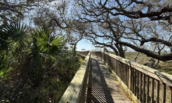 The boardwalk leading to the gazebo area