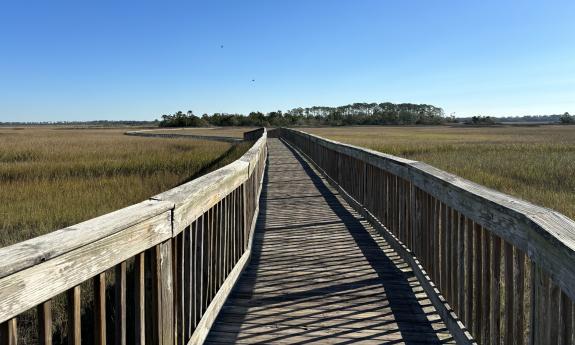 A view of the Tolomato Boardwalk