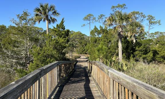 An uncovered section of the Tolomato Boardwalk