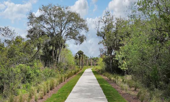 The Honeycomb Trail surrounded by trees and shrubbery