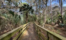 A boardwalk is part of the nature trail