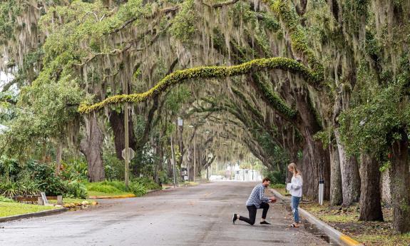 A proposal taking place on Magnolia Avenue