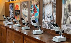 A counter along the wall of the Micro-artists museum with microscopes