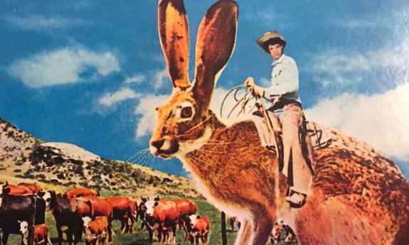 Watercolor of cowgirl riding a jackalope with cows in field behind