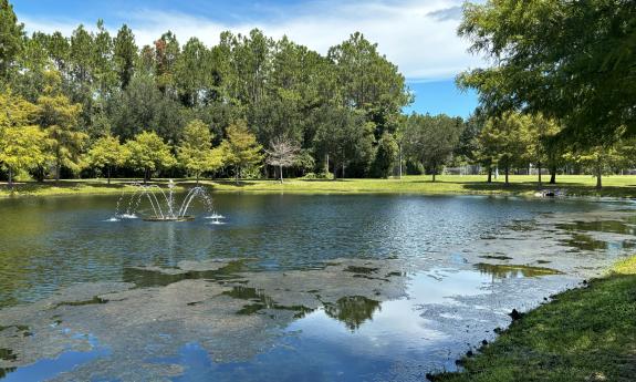 A pond at the Veterans Park grounds