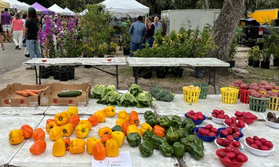 Local produce presented at the market