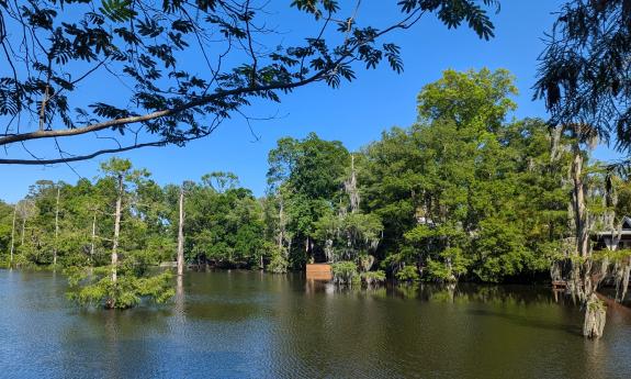 Beluthahatchee Lake as seen from a home on the lake
