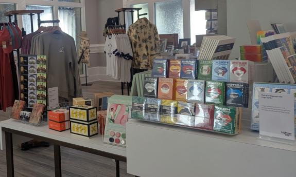 Displays of shirts, games, and language cards at the Lightner Museum store