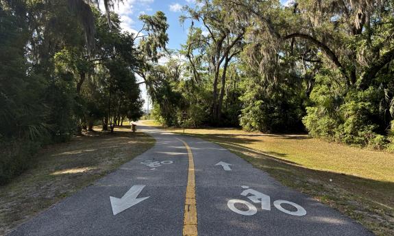 The biking icons on the trail pavement