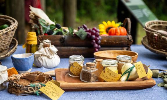 A table display of herbs and foods which were used in St. Augustine in the 1700s 