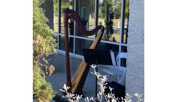 The Prelude harp, the instrument of Heartfelt Harpstrings