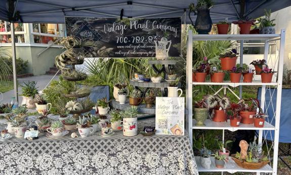 A plant vendor setup at the event