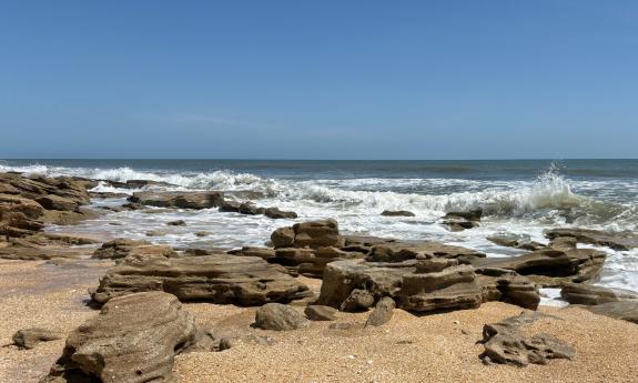 Coquina rocks lining the beach