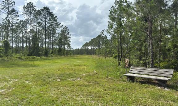 A bench next to a trail marker along an open trail in McCullough Creek