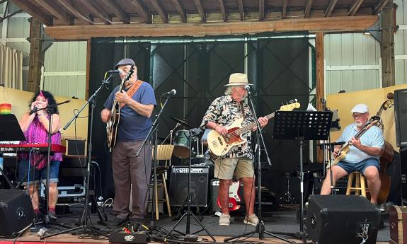 Chicago Bound Blues Band onstage playing instruments