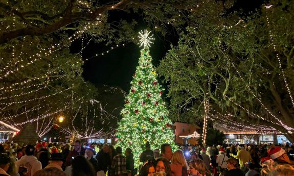 The Christmas Tree lit up in the Plaza
