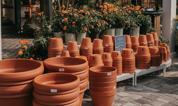 Pots and flowers on display