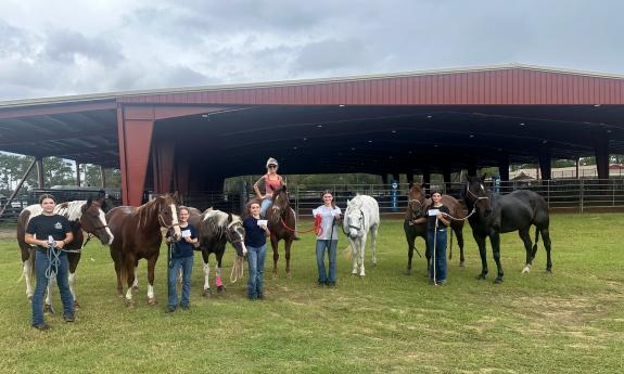 A camp taking place at the farm