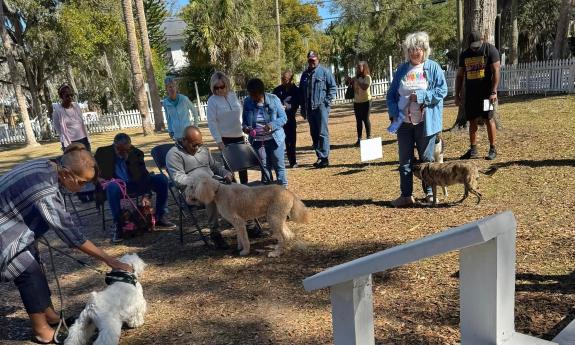 A group of dogs and their owners in a park for blessings of the pets
