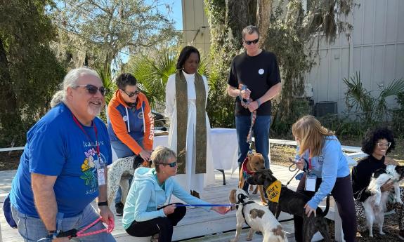 A group of people and their dogs, at an outdoor stage for a blessing of their pets