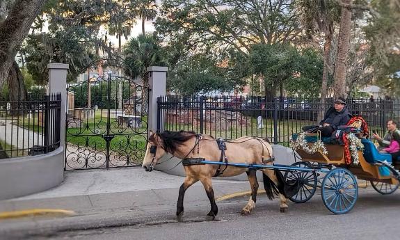 A Buggies & Buckskin ghost tour going past a cemetery