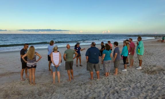 A group learning about marine life at the beach