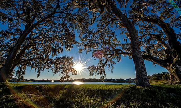A view from the walking and running trail in Nocatee