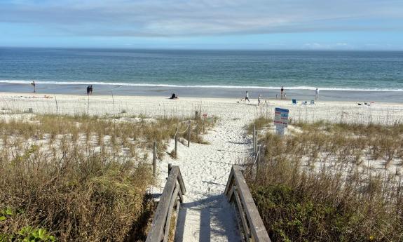 The overview of North Beach's space